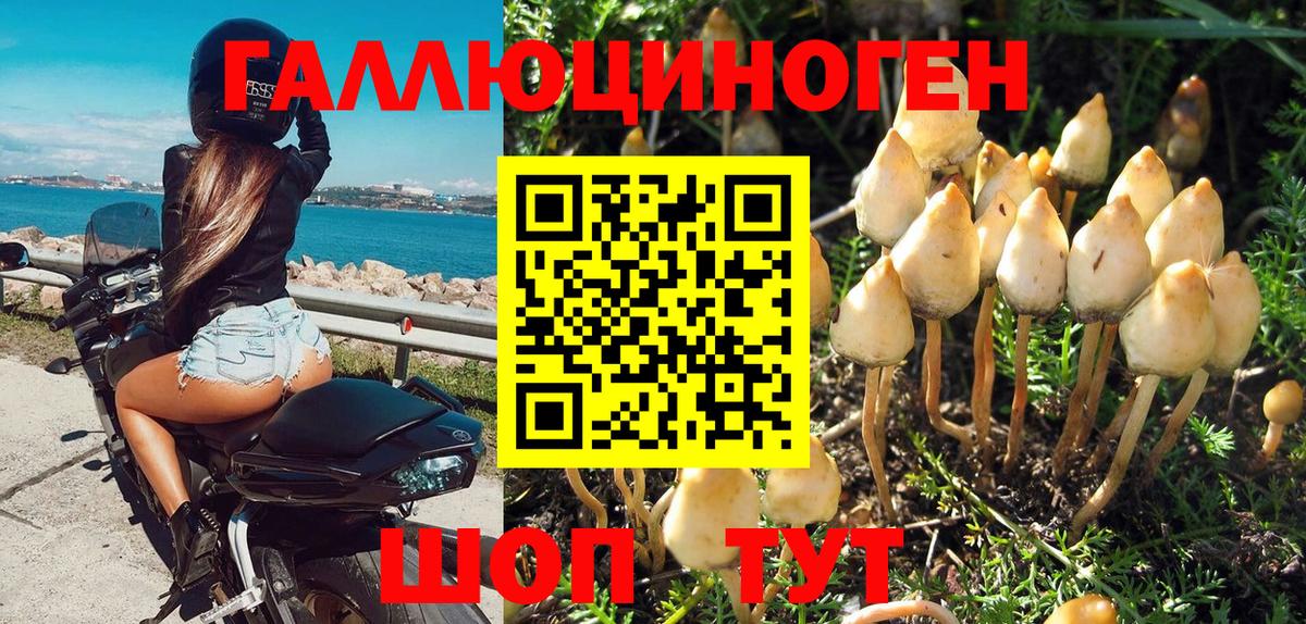 Псилоцибиновые грибы Psilocybine cubensis  Вход с VPN  Галлюциногенные грибы Cubensis  Электрогорск 